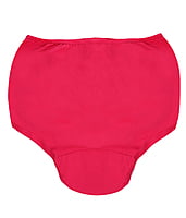 Incontinence Brief Incontinence Brief